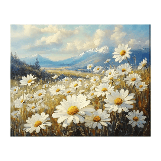 Field of white daisies