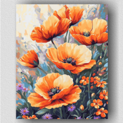 Orange poppies 01