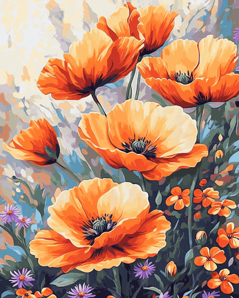 Orange poppies 01