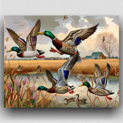 Mallard ducks