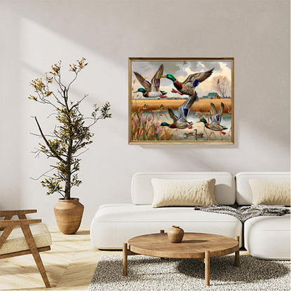 Mallard ducks