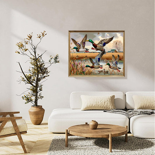 Mallard ducks