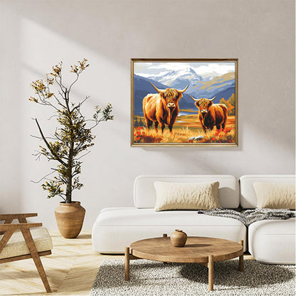 Highland Cows 01