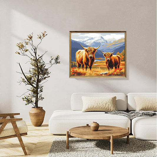 Highland Cows 01