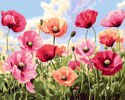 Red and pink poppies 01