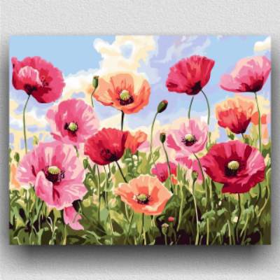 Red and pink poppies 01