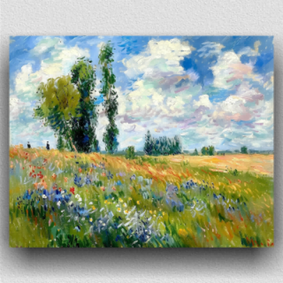 Field with wildflowers