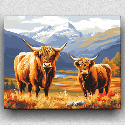 Highland Cows 01