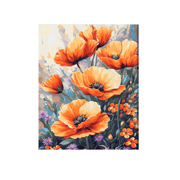 Orange poppies 01
