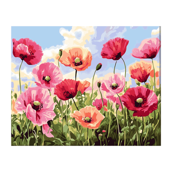 Red and pink poppies 01