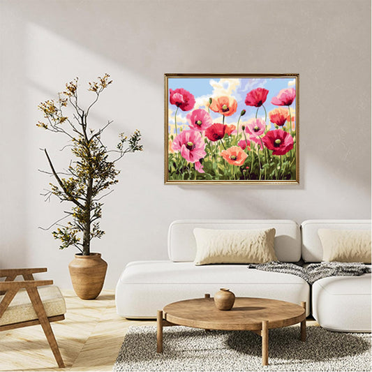 Red and pink poppies 01