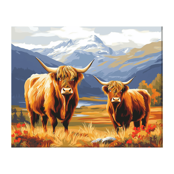 Highland Cows 01