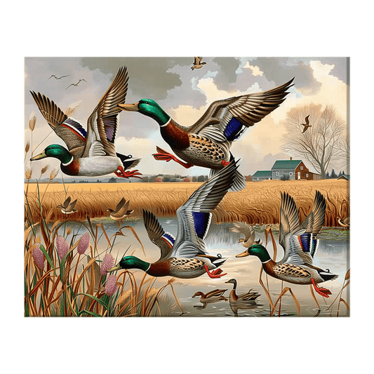 Mallard ducks