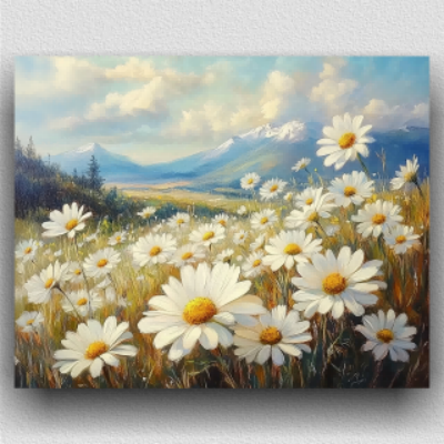 Field of white daisies