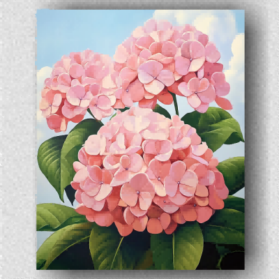 Pink hydrangeas