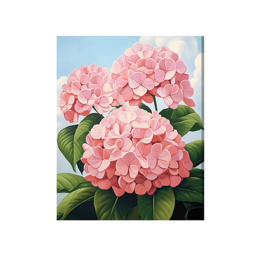 Pink hydrangeas